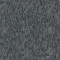 ARMSTRONG FLOORING Vinyl Floor Tiles: Grayson, Std Excelon Imperial Texture, 12 in Tile Wd, Smooth (MPN 57532031). Key specifications — Color: Grayson; Brand: ARMSTRONG FLOORING.