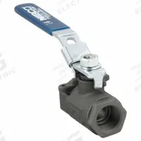 CHEMTROL Manual Two-Way Ball Valve: 3/4 in, Carbon Steel, Straight, FNPT x FNPT, Std Port Ball Port (MPN NL94T58). Key specifications — Brand: CHEMTROL; Handle: Locking Lever.