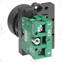 DAYTON Flush Push Button Operator: Non-Illuminated, Flush Profile, Non-Metallic, 22 mm, 1NO (MPN 30G225). Key specifications — Brand: DAYTON; Action: Momentary; Series: Dayton; Terminal Connection: Pressure Plate; Push Button Material Type: Non-Metallic.