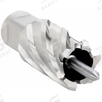 SLUGGER BY FEIN Annular Cutter: 9/16 in Cutter Dia, 1 in Max Cutting Dp, Pilot Pin Included, Bright (MPN 63134143041). Key specifications — attr253884: Yes; attr253885: Bright; attr253886: High Speed Steel; attr253887: Weldon Flat; attr253888: Fractional Inch; attr277149: SLUGGER BY FEIN.