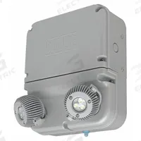 Emergency Lights: 12 W Lamp Watt, 24 W Emergency Watt, 120V AC, 2 Lamp Heads, Plastic, Surface, Gray (MPN DYN12I-06L). Key specifications — Input Voltage: 120V AC; Housing Material: Plastic; Mounting Type: Surface; Housing Color: Gray; Lighting Technology: LED; CA Title 20 Compliant: Yes; Environmental Rating: Damp Location Rated; IP Rating: Not Rated.