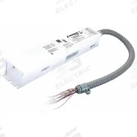 Emergency Lighting Inverter: 100 to 277V AC, 10 W Max. Bulb Watts, Fluorescent/Incandescent/LED (MPN FHUPS1-UNV-50L-SD). Key specifications — Input Voltage: 100 to 277V AC; Includes: Single-Piece Test Switch; Battery Type: Lithium Iron Phosphate; Brand: FULHAM.