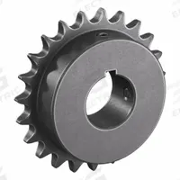 TRITAN Roller Chain Sprocket: 40, For 1/2 in Chain Pitch, 1 1/4 in Bore Dia, 23 Teeth, Steel (MPN 40BS23H X 1 1/4). Key specifications — Brand: TRITAN.