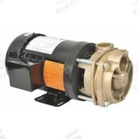 Turbine Pump: 2 hp, 230/460V AC, 100 psi Shut Off, 3-Phase (MPN 53EC02). Key specifications — Brand: DAYTON; Motor Enclosure Type: TEFC.