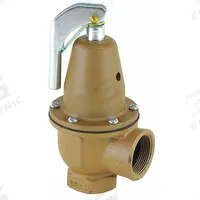 WATTS Boiler Pressure Relief Valve: FNPTF x FNPTF, 1 1/4 in x 1 1/2 in, Iron, 8 3/4 in Overall Ht (MPN 0383310). Key specifications — Brand: WATTS.