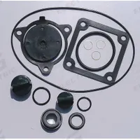 APPROVED VENDOR Seal Kit: Mfr Part # 24D049, Dayton. Key specifications — Includes: (2) Plug Sets; Product Type: Seal Kit; Manufacturer Part Number: 24D049.