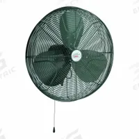 CANARM Mounted Fan: 24 in Blade Dia, 120V AC, 1/4 hp Motor HP, Ceiling/Floor/Wall Mount, Oscillating (MPN CA24OSC-C). Key specifications — Brand: CANARM; Voltage: 120V AC; Number of Speeds: 3; Fan Mounting Location: Floor; Oscillation: Oscillating.