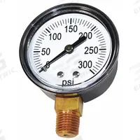 CHICAGO PNEUMATIC Pressure Gauge, Bottom Mount: 1312100840, 36VZ41, RCP-561VNS, Chicago Pneumatic. Key specifications — attr948866: 1312100840; attr948874: Pressure Gauge; attr948875: Chicago Pneumatic; attr948868: 36VZ41; attr948869: RCP-561VNS.