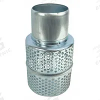 DAYTON Strainer: For 1ZTA8 (MPN PP201200240G)
