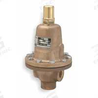 CASH VALVE Adjustable Back Pressure Valve: FNPT x FNPT, 3/4 in x 3/4 in, Stainless Steel (MPN FR-GDWSCFGES04-D 150-400). Key specifications — Brand: CASH VALVE.