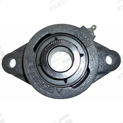 NTN 2 Bolt Flange Bearing: Radial Ball, 3/4 in Bore, Cast Iron, Set Screws - General Purpose Flange-Mount Ball Bearings