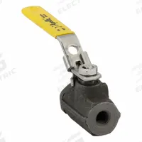 APOLLO Manual Two-Way Ball Valve: 1/4 in, Steel, Straight, FNPT x FNPT, Std Port Ball Port (MPN 73A10127A). Key specifications — Brand: APOLLO; Handle: Locking Lever.