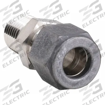 PARKER Compression Fitting Adapter: 1/8 in OD x 1/4 in Pipe Fitting Size - Single-Ferrule Stainless Steel Fittings