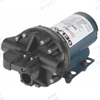 DELAVAN AG PUMPS Diaphragm Pump: Electric, 5836-201C-SB, Demand Pressure Switch, Polypropylene, FNPT. Key specifications — Housing Material: Polypropylene; Brand: DELAVAN AG PUMPS.