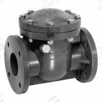 IPEX USA LLC Swing Check Valve: Swing, Inline Valve Body, 6 in Pipe Size, Flange x Flange, PVC, Std (MPN SCOV213). Key specifications — Brand: IPEX USA LLC.