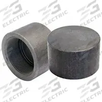 ANVIL Cap: Cap, Steel, Class 3000, 9,000 psi, 3/4 in, NPT Threaded (MPN 0361502842). Key specifications — Includes Pre-Applied Thread Sealant: No.