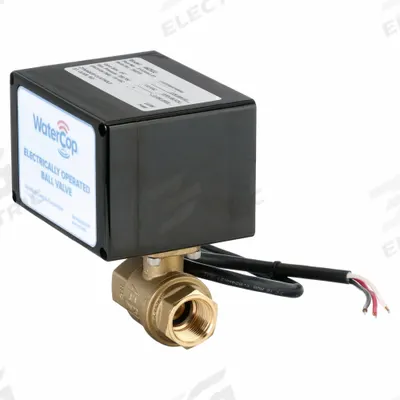 WATERCOP Electrically Actuated Two-Way Ball Valve: 3/4 in, Brass, 120V AC, FNPT x FNPT - Brass Electrically-Actuated Ball Valves