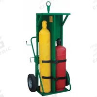 SAFTCART Cylinder Hand Truck: 780 lb, Side by Side, 2 Cylinder, 24 in W x 13 in D Nose Plate (MPN 552-16H-FW). Key specifications — Brand: SAFTCART; Color: Green; Securing Mechanism: Perma Clamp.