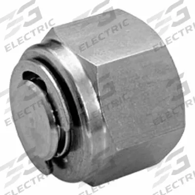 HAM-LET Compression Fitting Plug: 1/4 in OD Fitting Size, Compression - Double-Ferrule Stainless Steel Fittings