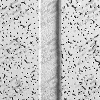ARMSTRONG Ceiling Tile: 2765D, Cortega, 24 in x 48 in, Angled Tegular, 15/16 in Grid Size, 10 PK. Key specifications — Display Sell UOM: PK; Material: Mineral Fiber; Color: White; Application: Retail; Resistance Properties: Fire Resistive; Series: Cortega; Edge Type: Angled Tegular; Manufacturer Part Number: 2765D.