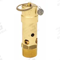 CONTROL DEVICES Air Safety Valve: Soft Seat, 3/4 in (M)NPT Inlet (In.), 100 psi Preset Setting (PSI) (MPN SB75-0A100). Key specifications — attr291993: Soft Seat; attr291998: Brass; attr292001: Silicone; attr292007: Lead; attr292009: Brass; attr294753: CONTROL DEVICES.