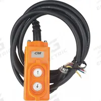 CM Pendant Station with Cord: Electric Chain Hoists, CM Shopstar, 11.5 ft Pendant Cord Lg, 20615. Key specifications — Manufacturer Part Number: 20615; Compatible Hoist Type: Electric Chain Hoists; Compatible Series: CM Shopstar; Compatible with Manufacturer Part Number: 2101; Functions: Up/Down; Product Type: Pendant Station.