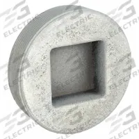 Blank Plugs - Haz Loc: Iron, Galvanized, 1 1/4 in Trade Size, NPT, Male to Male (MPN PLG-125). Key specifications — Brand: APPLETON ELECTRIC.