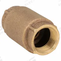 APPROVED VENDOR Spring Check Valve: Inline Valve Body, 3/4 in Pipe Size, FNPT x FNPT, Bronze, Female (MPN 6AJY2). Key specifications — Brand: APPROVED VENDOR.