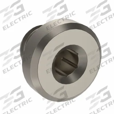 LEGRIS Plug: Hex Drive Cored Plug, 5 mm, Metric Threaded, Nickel-Plated Brass - Threaded Medium-Pressure Pipe Fittings