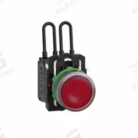 SCHNEIDER ELECTRIC Pilot Light: 22 mm Panel Mounting Size, Red, LED, XB5 Series (MPN XB5AW24B5). Key specifications — Lens Type: Flat; Series: XB5; Brand: SCHNEIDER; Includes Push-To-Test: Push-To-Test Included.
