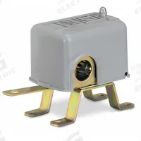 TELEMECANIQUE SENSORS Open Liquid Level Switch: Close On Rise, Open Tank Vertical Mounting, DPST (MPN 9036GG2C). Key specifications — Body Material: Steel; Brand: TELEMECANIQUE SENSORS; Electrical Connection Type: Screw Clamp; Series: 9036G; Design Modifications: Compensating Spring; Environments & Applications: General Purpose (Indoor Use).
