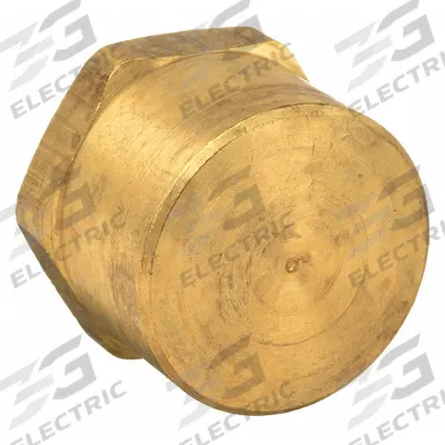 PARKER Cap: Hex Drive Cored Cap, 3/4 in, NPT Threaded, 1,000 psi, 7/8 in Lg - Threaded High-Pressure Pipe Fittings