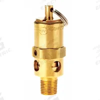 CONRADER Safety Valve: Hard Seat, 1/8 in (M)NPT Inlet (In.), 1/8 in (F)NPT Outlet (In.), Brass (MPN SRH250-1/8-250 SST). Key specifications — attr291993: Hard Seat; attr291998: Brass; attr292007: Stainless Steel; attr292009: Brass; attr294753: CONRADER.