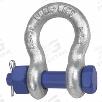 APPROVED VENDOR Bolt, Nut and Cotter Anchor Shackles: Anchor Shackle, 17,000 lb Working Load Limit (MPN 8063905). Key specifications — Body Color: Silver; Brand: APPROVED VENDOR.