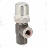 PARKER Pressure Control Valve: 4 gpm, 1,750 psi Max Set, Stainless Steel, 1/4 in NPT (MPN 642B-10-1/4-2). Key specifications — Brand: PARKER.