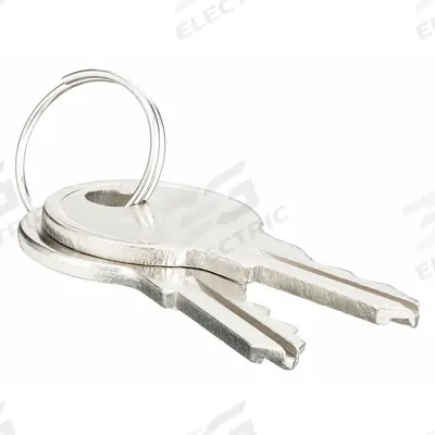 APPROVED VENDOR Key: 1 PR (MPN 012K) - Thermostat Guard Replacement Keys