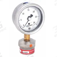 ASHCROFT Pressure Gauge with Diaphragm Seal: 0 psi to 30 psi, 1009/310-315, 2 1/2 in Dial, Glycerin (MPN 251009AW02L/310SSLXCG30). Key specifications — Brand: ASHCROFT; Gauge Case Liquid: None; Seal Fill Liquid: Glycerin; Gauge Case Material: 304 Stainless Steel; Seal Lower Housing Material: 316L Stainless Steel; Accuracy: ±1.50%.