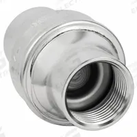 BONOMI Check Valve: Swing, Inline Valve Body, 1 in Pipe Size, FNPT x FNPT, 316 Stainless Steel, NPT (MPN S250-1"). Key specifications — Brand: BONOMI.
