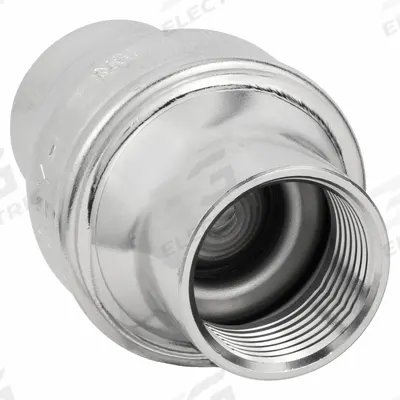 BONOMI Check Valve: Swing, Inline Valve Body, 1 in Pipe Size, FNPT x FNPT, 316 Stainless Steel - 316 Stainless Steel Inline Disc Check Valves