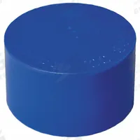 AMS End Cap: Plastic, 1 1/2 in Overall Dia, 1 in Overall Lg, Push-On (MPN 418.08). Key specifications — Material: Plastic; Connection Type: Push-On; Brand: AMS.