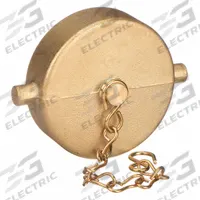 MOON AMERICAN Hydrant Cap: Cap, Brass, 2 1/2 in Compatible Pipe Size, Female, NH, Pin Lug (MPN 662-2521). Key specifications — Thread Type: NH; Tightening Method: Pin Lug.