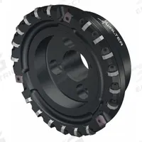 WALTER Indexable Face Mill: M2025-160-B40-21-03 (MPN 6625056). Key specifications — attr256955: M2025-160-B40-21-03.