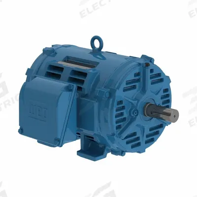 WEG General Purpose Motor: Rigid Base Mount, Open Drip Proof, 25 hp, 230/460V AC/380V AC - Rigid Base 3-Phase General Purpose AC Motors