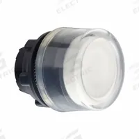 SCHNEIDER Flush Push Button: 22 mm Mounting Size, Non-Metallic, Momentary (MPN ZB5APA1). Key specifications — Brand: SCHNEIDER; Action: Momentary; Series: XB5; Push Button Material Type: Non-Metallic.