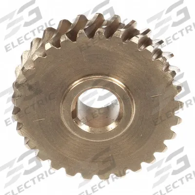HOBART Gear Worm,29 tons: 00-874934 - Replacement Parts for Food Mixers
