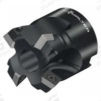 WALTER Indexable Face Mill: M4002-042-B16-04-015 (MPN 6841257). Key specifications — attr256955: M4002-042-B16-04-015.
