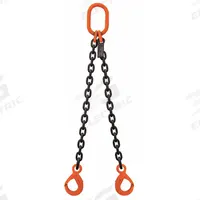 STREN-FLEX Chain Sling: 3/8 in Chain Trade Size, 100 Chain Grade, Latching Hook, Alloy Steel, Fixed (MPN SF1210G10DOL). Key specifications — attr994064: STREN-FLEX.