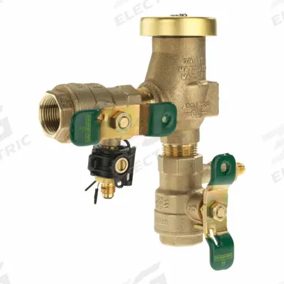 Watts Freeze Resistant Vacuum Breaker: 800M4-FR, FNPT x FNPT, For Water Media - Pressure Vacuum Breakers