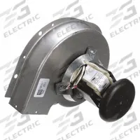 FASCO OEM Blower: Furnace, Amana, 7002-2407, 115V AC (MPN A160). Key specifications — Replacement For Manufacturer Model Number: 7002-2407; Brand: FASCO; Manufacturer Part Number: A160; Compatible with Brand: Amana; Nameplate Voltage: 115V AC.