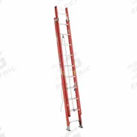 WERNER Extension Ladder: 20 ft Ladder Size, Fiberglass, 300 lb Load Capacity, 45 lb Wt, 2 Sections (MPN D6220-2). Key specifications — Color: Orange; Brand: WERNER; Included Features: Rope and Pulley; Removable Fly: Removable.